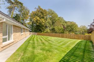 Photo 16- click for photo gallery